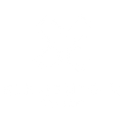 Elemento X Store 